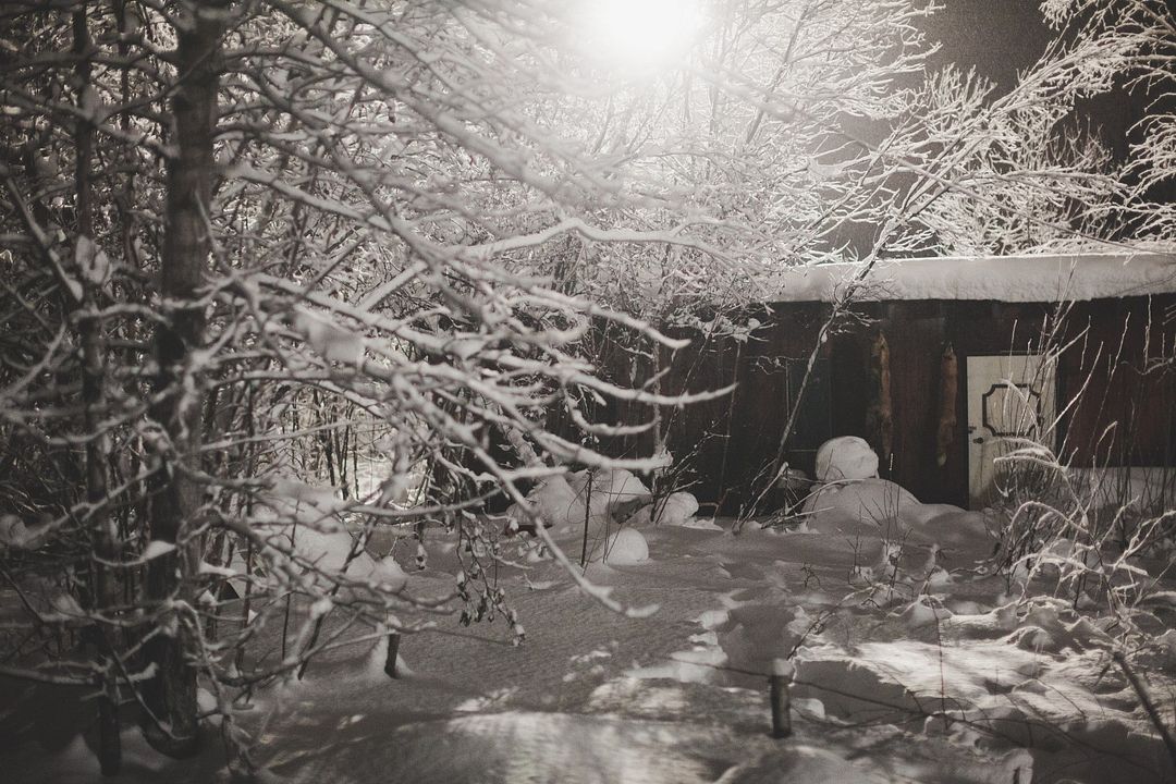 Maneater - Tod aus der Kälte : Bild