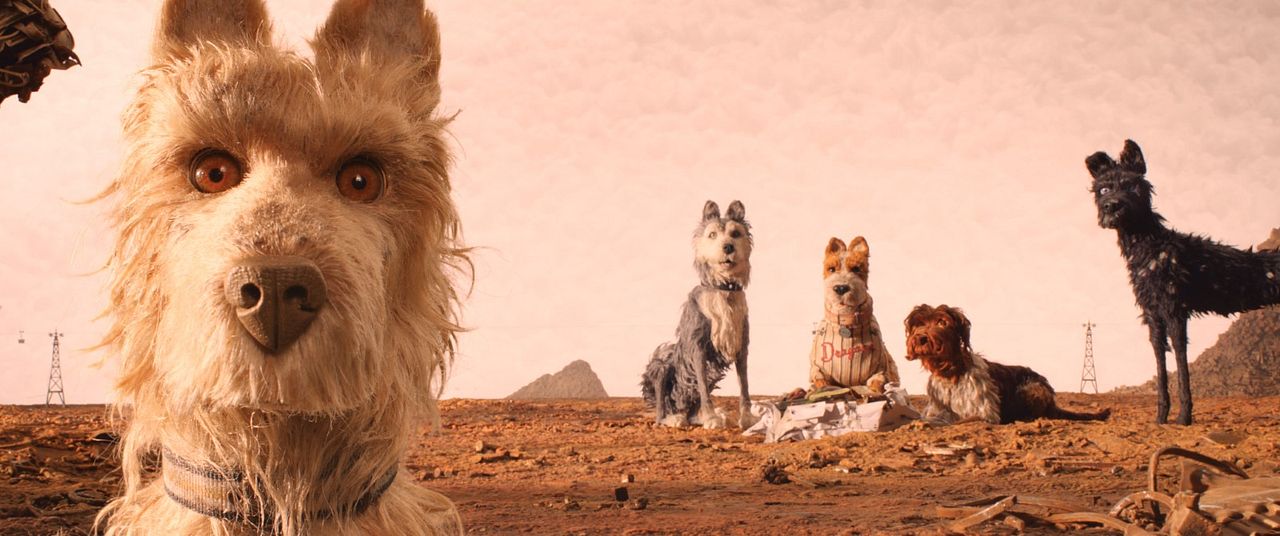 Isle of Dogs - Ataris Reise : Bild