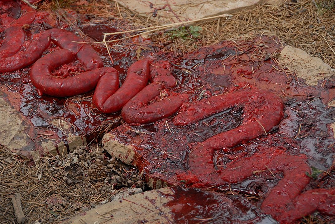 Banshee Chapter : Bild