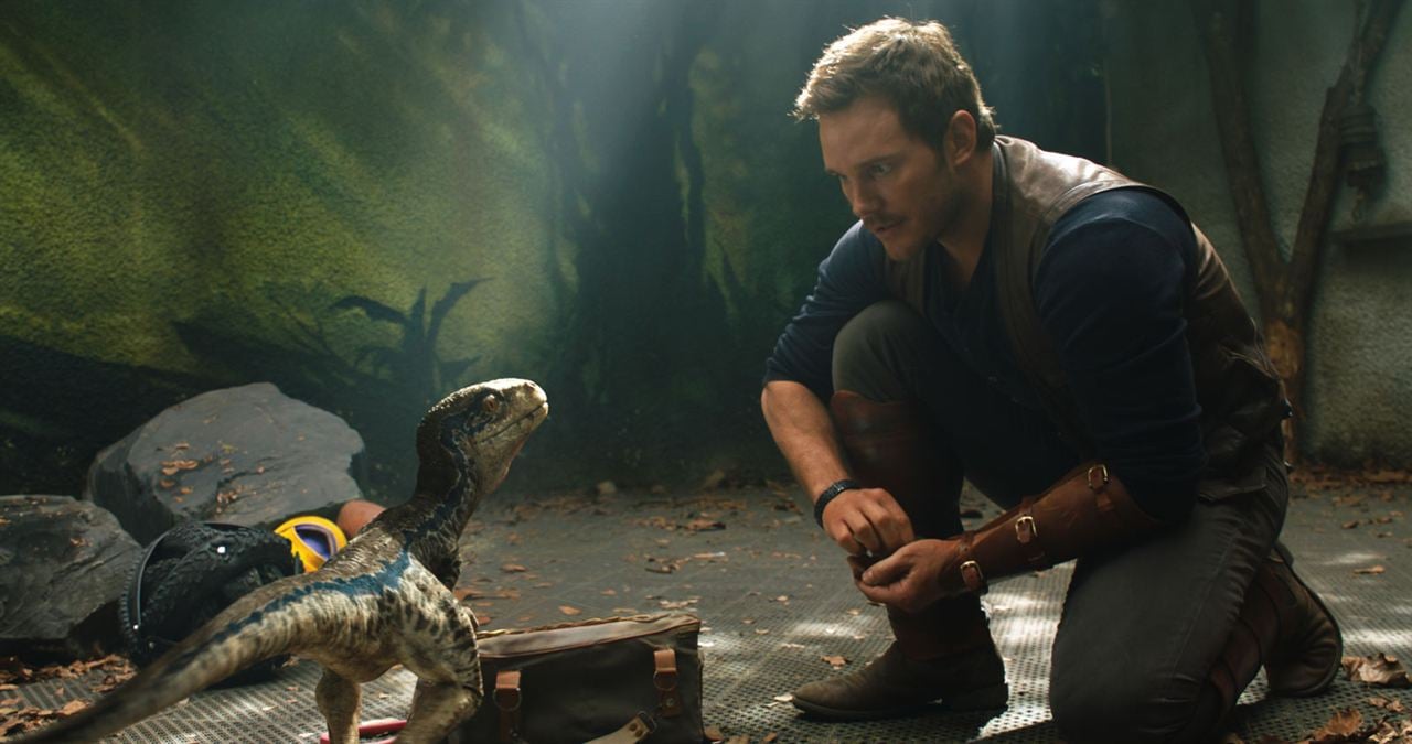 Jurassic World 2: Das gefallene Königreich : Bild Chris Pratt