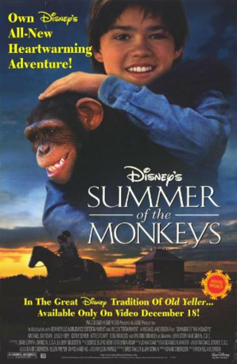 Jay und die Affenbande : Kinoposter