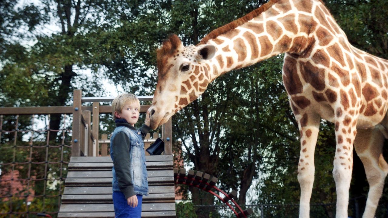 Mein Freund, die Giraffe : Bild Liam de Vries
