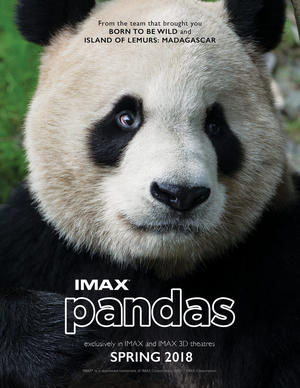 Pandas : Kinoposter