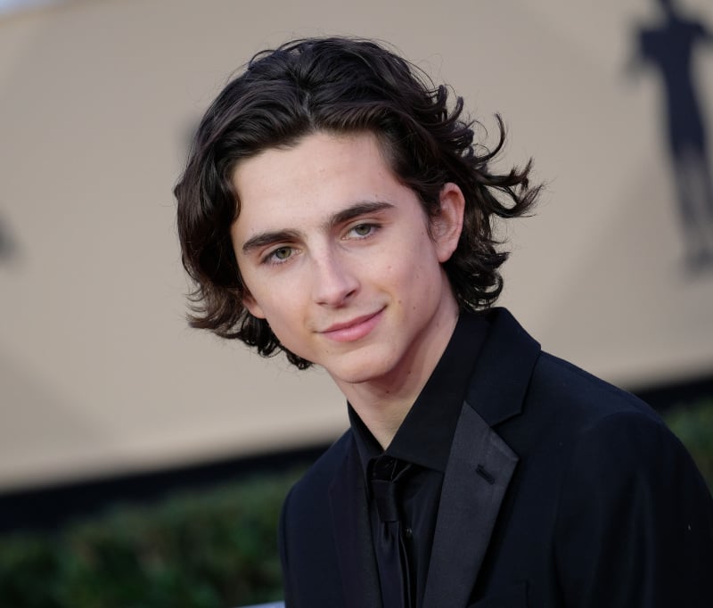 Vignette (magazine) Timothée Chalamet