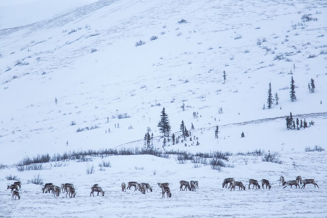 Sternenjäger - Abenteuer Nachthimmel : Bild