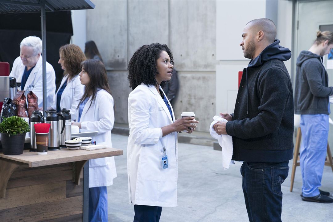 Grey's Anatomy - Die jungen Ärzte : Bild Kelly McCreary, Jesse Williams