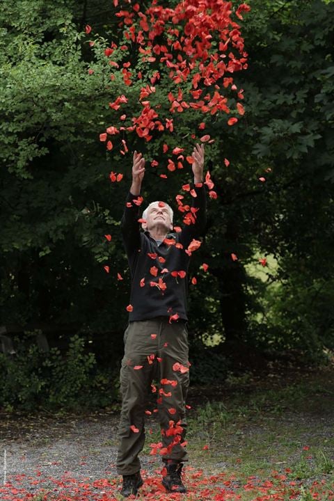 Leaning Into The Wind - Andy Goldsworthy : Bild