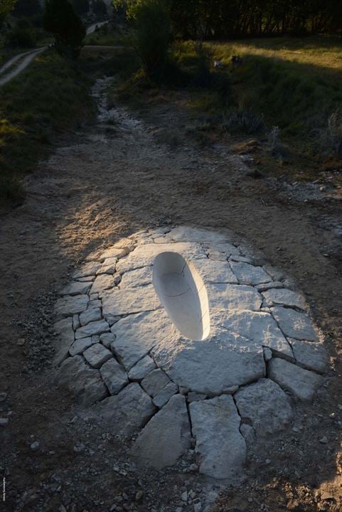 Leaning Into The Wind - Andy Goldsworthy : Bild