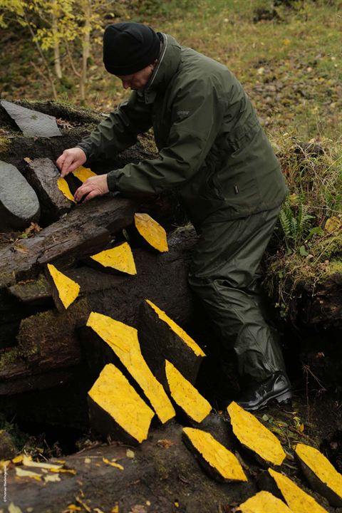 Leaning Into The Wind - Andy Goldsworthy : Bild