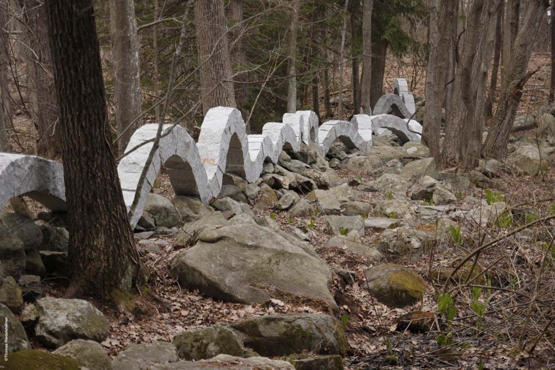 Leaning Into The Wind - Andy Goldsworthy : Bild