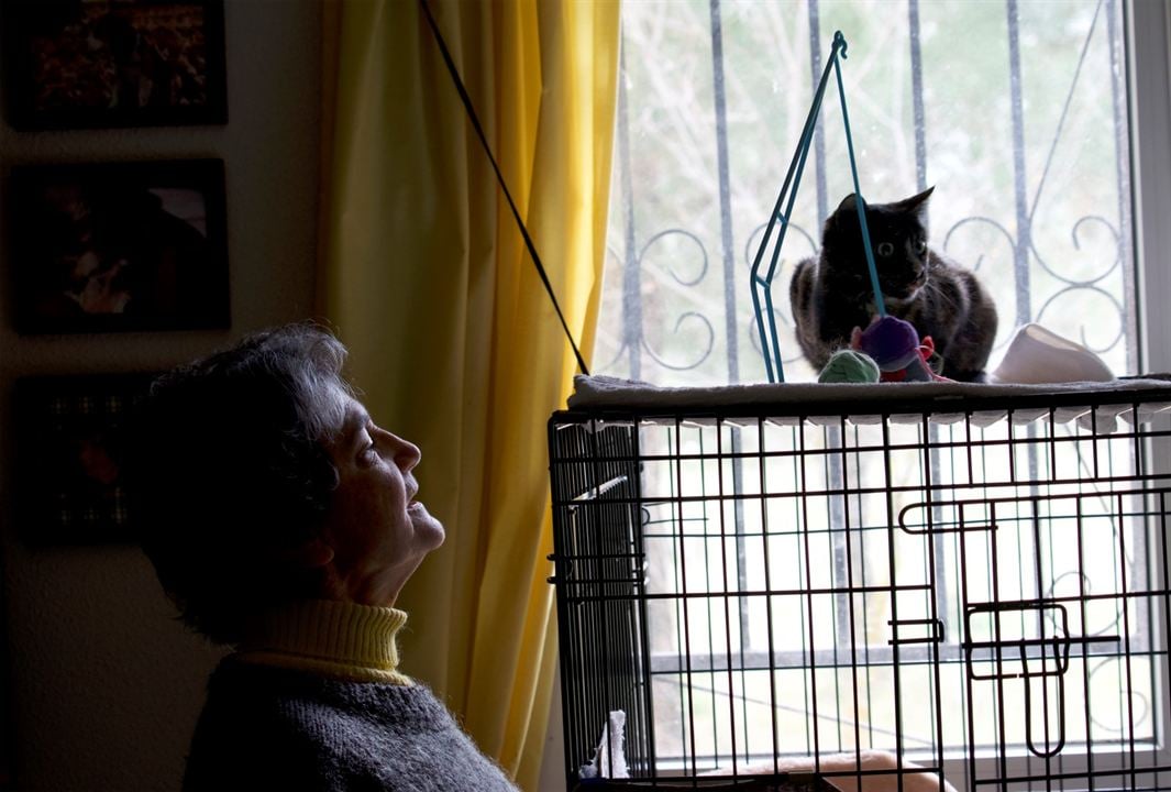 Citizen Animal - A Small Family's Quest for Animal Rights : Bild