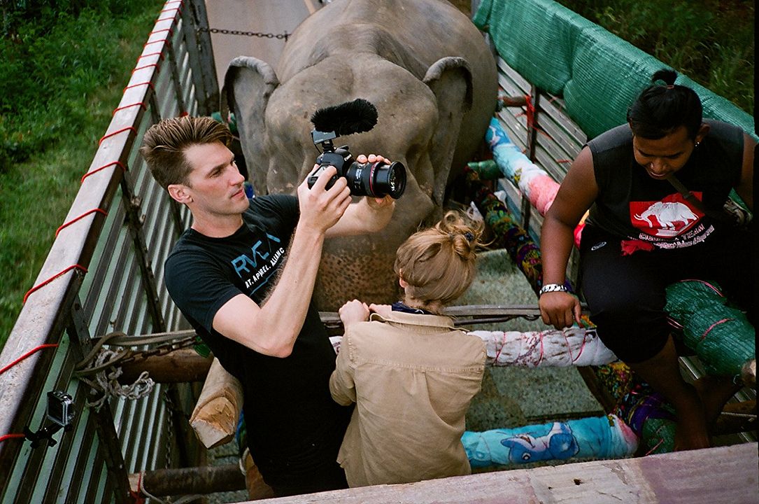 Love & Bananas : Bild