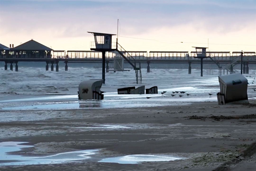 Usedom - Der freie Blick aufs Meer : Bild