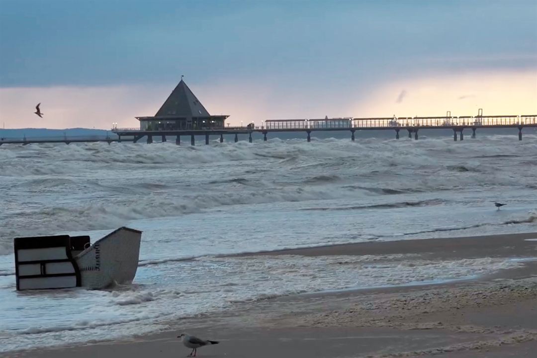 Usedom - Der freie Blick aufs Meer : Bild