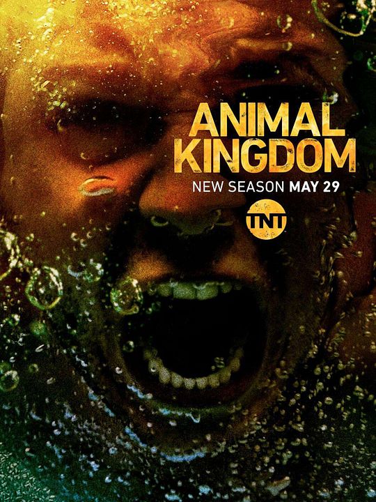 Animal Kingdom : Kinoposter