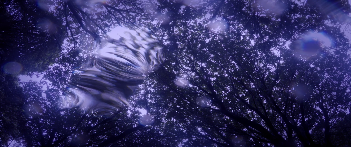 Animal Kingdom : Bild