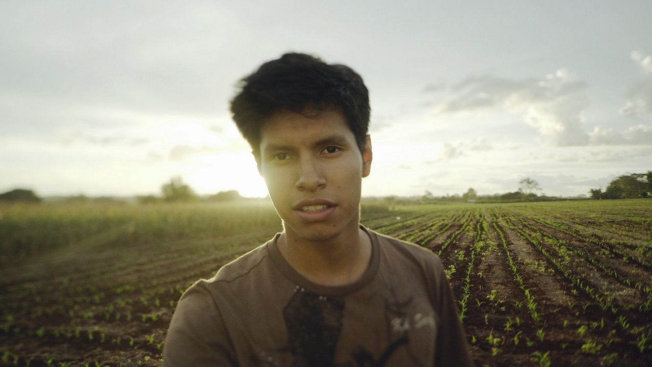 Euller Miller Entre Dois Mundos : Bild