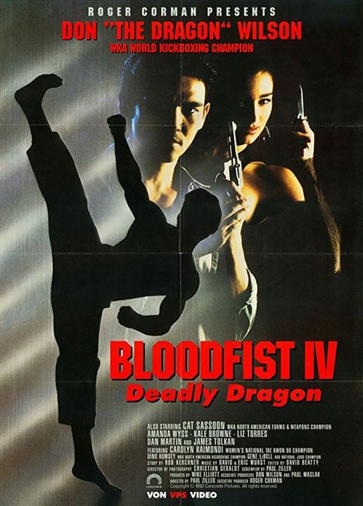 Bloodfist IV - Deadly Dragon : Kinoposter