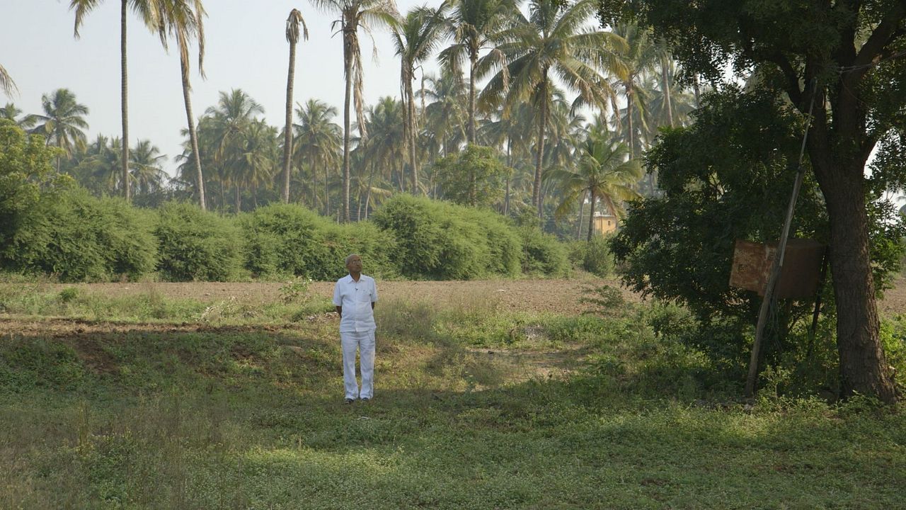 Der Doktor aus Indien : Bild