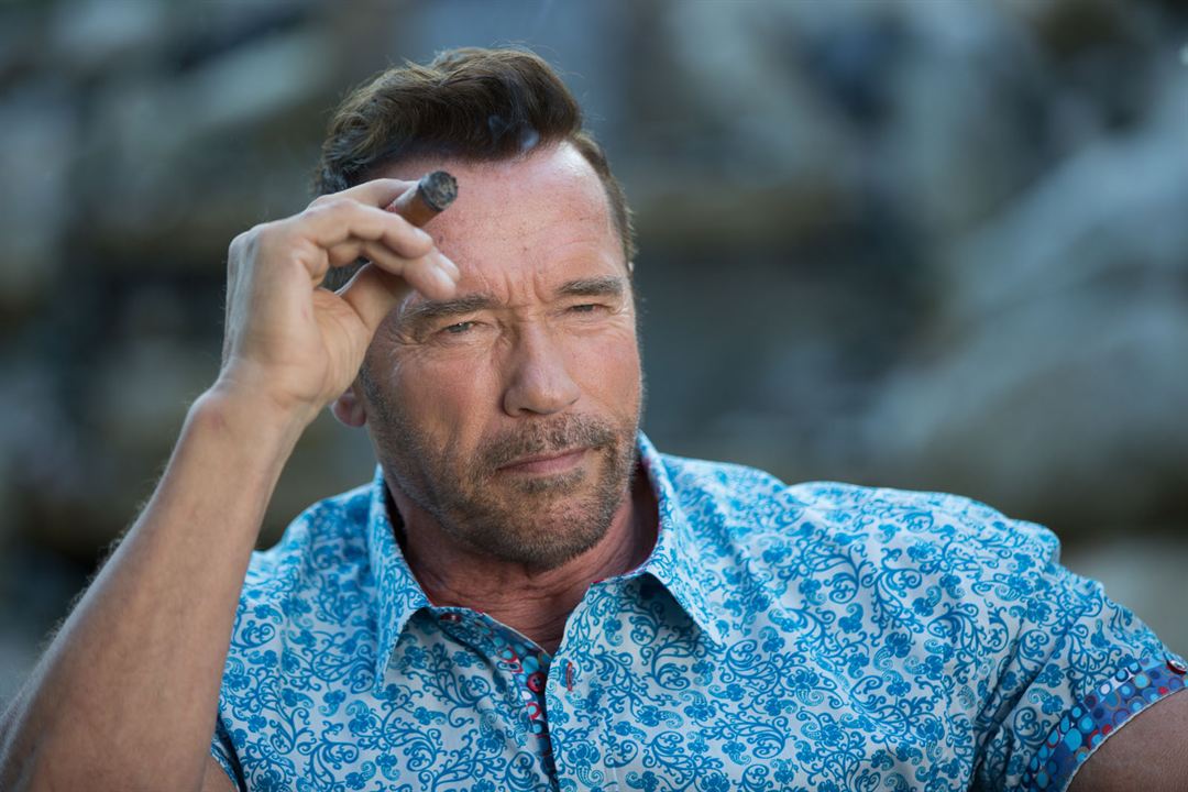 Killing Gunther : Bild Arnold Schwarzenegger