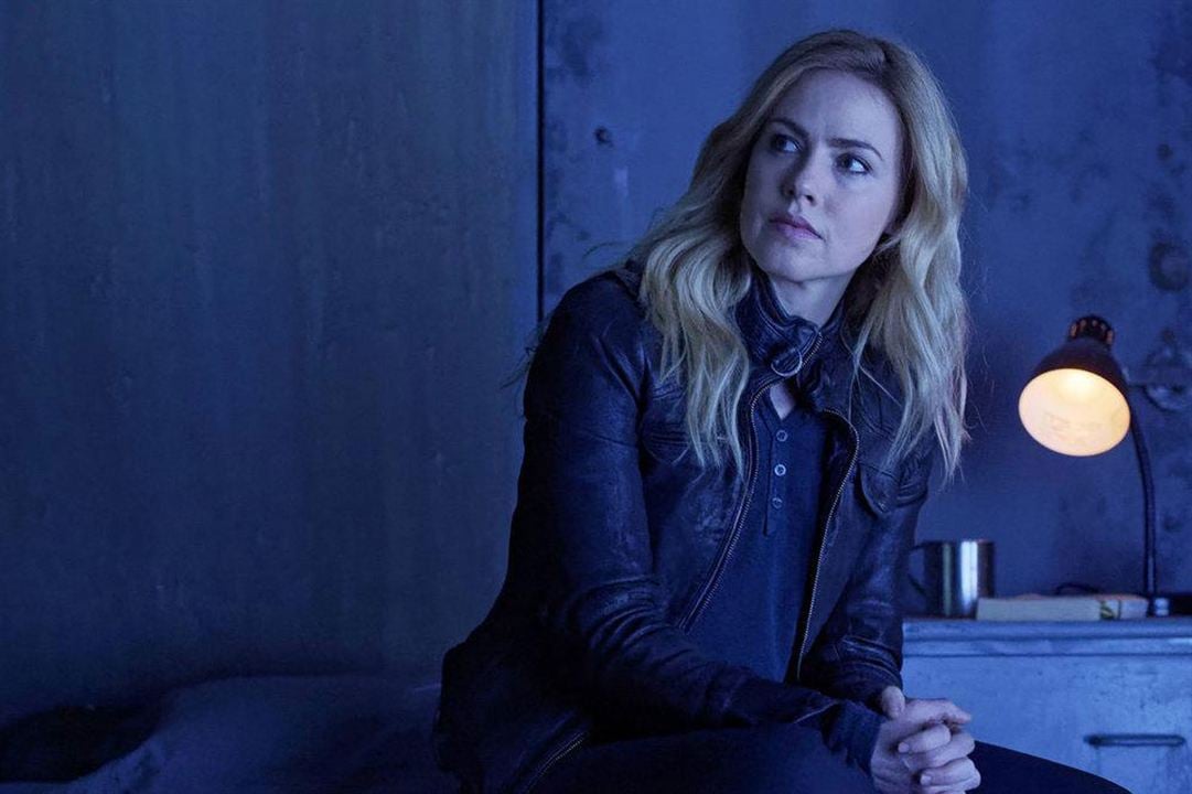 12 Monkeys : Bild Amanda Schull