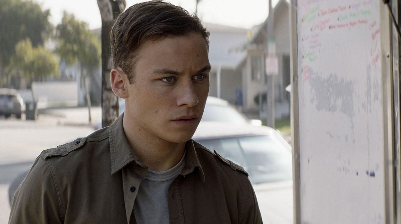 Animal Kingdom : Bild Finn Cole