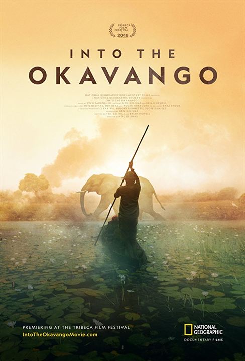 Into the Okavango : Kinoposter