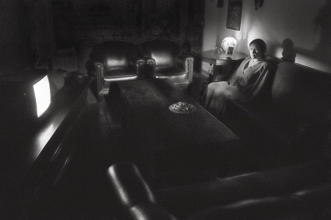 Hilda Hilst Pede Contato : Bild