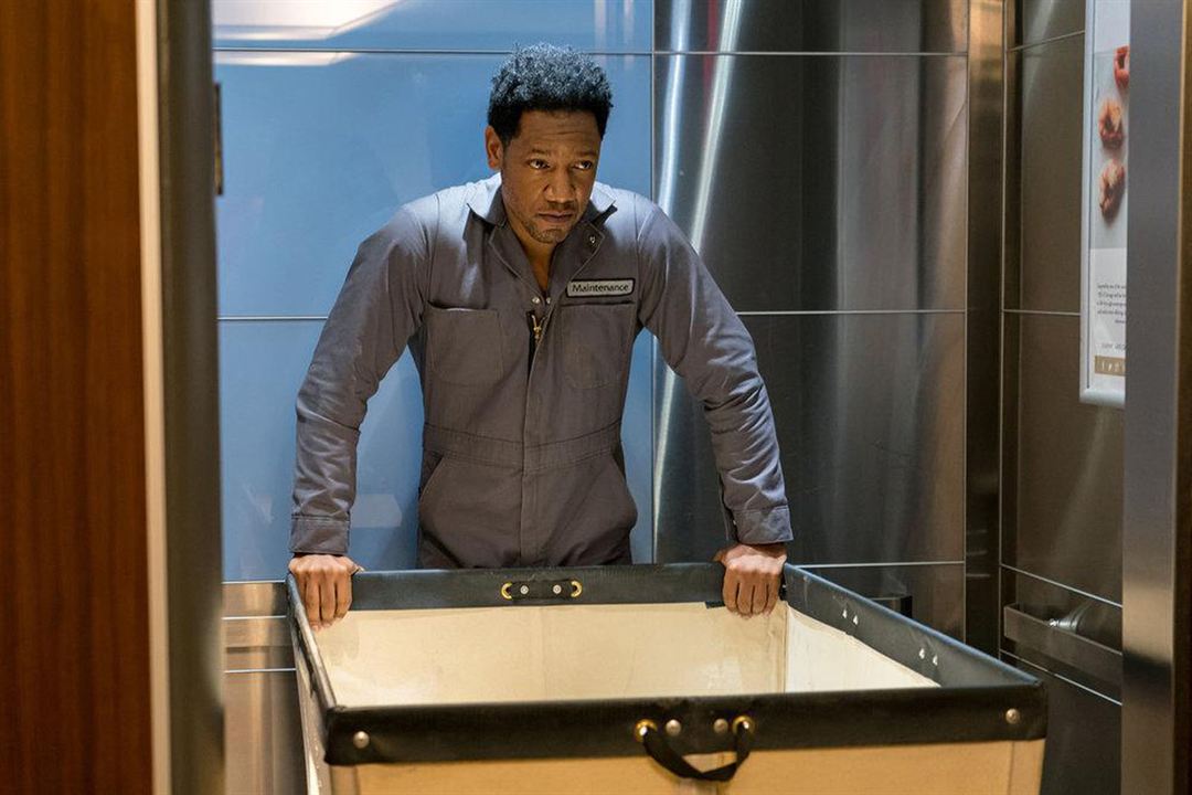 Colony : Bild Tory Kittles