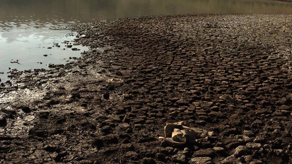 Água Mole Pedra Dura : Bild