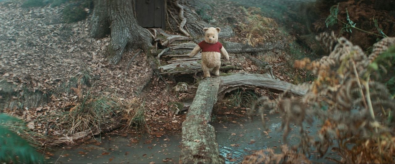 Christopher Robin : Bild