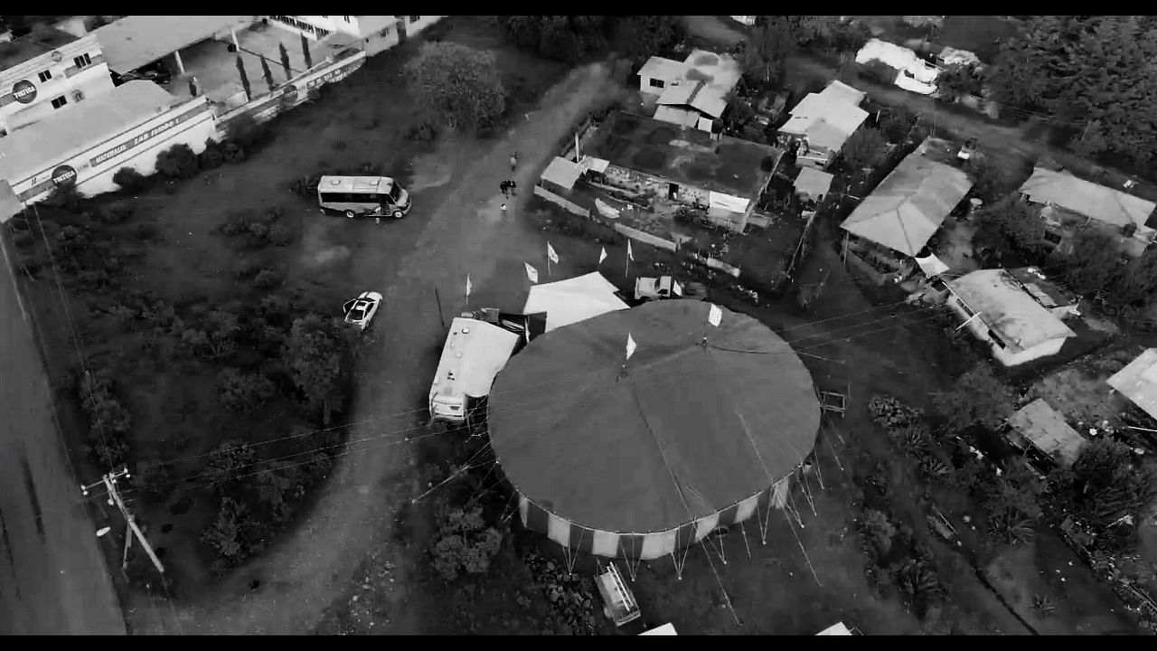 Niebla de culpa : Bild