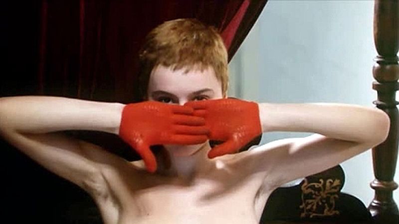 Vögel, Waisen und Narren : Bild