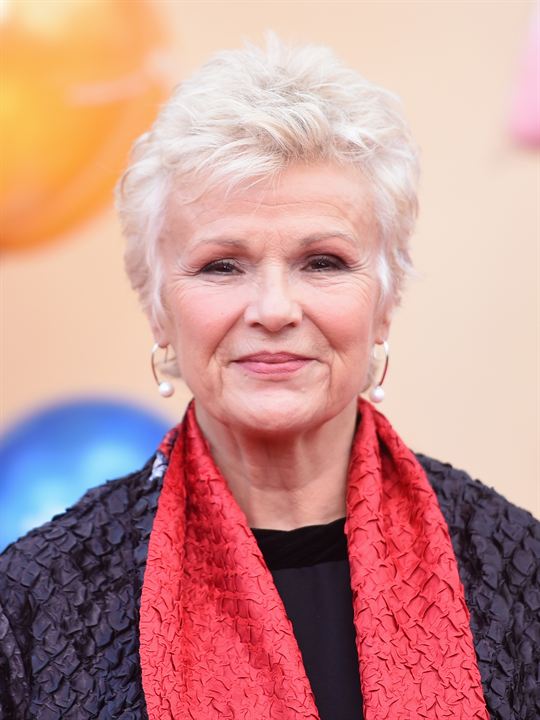 Kinoposter Julie Walters