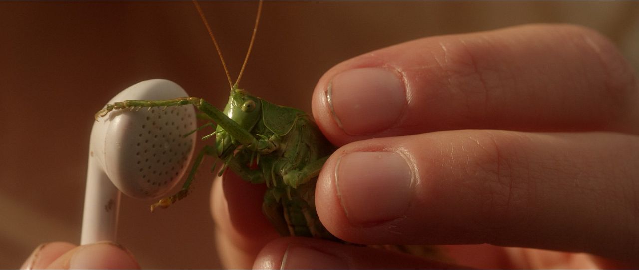 Mein Bruder heißt Robert und ist ein Idiot : Bild