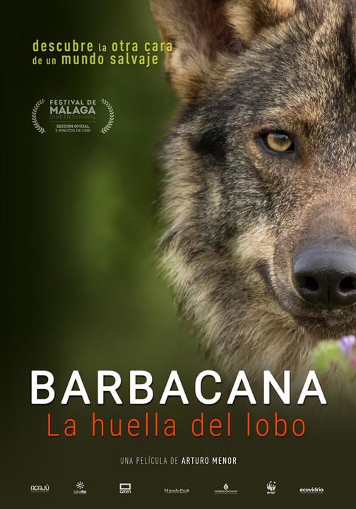 Barbacana, la huella del lobo : Kinoposter