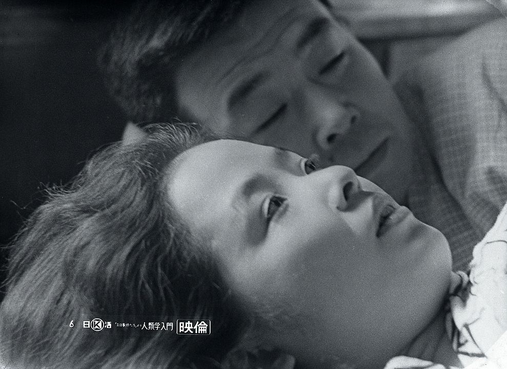 Einführung in die Menschenkunde : Bild