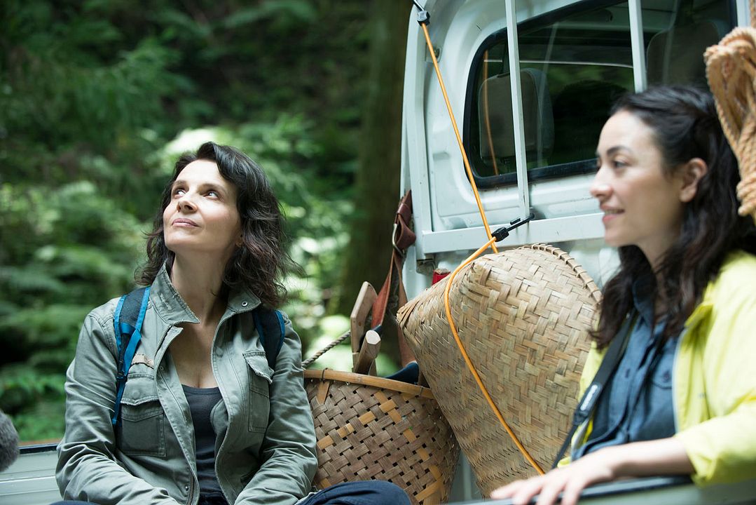 Die Blüte des Einklangs : Bild Juliette Binoche, Minami