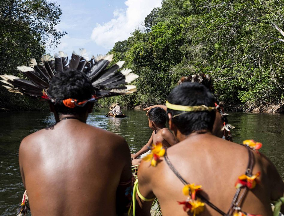 Rio da Dúvida : Bild
