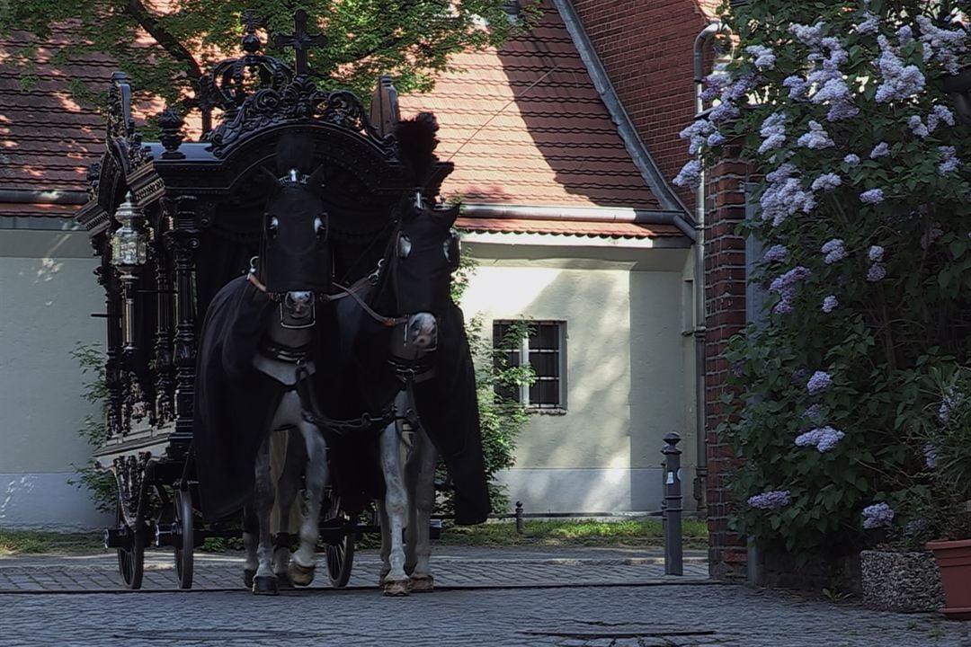 Komponistinnen : Bild