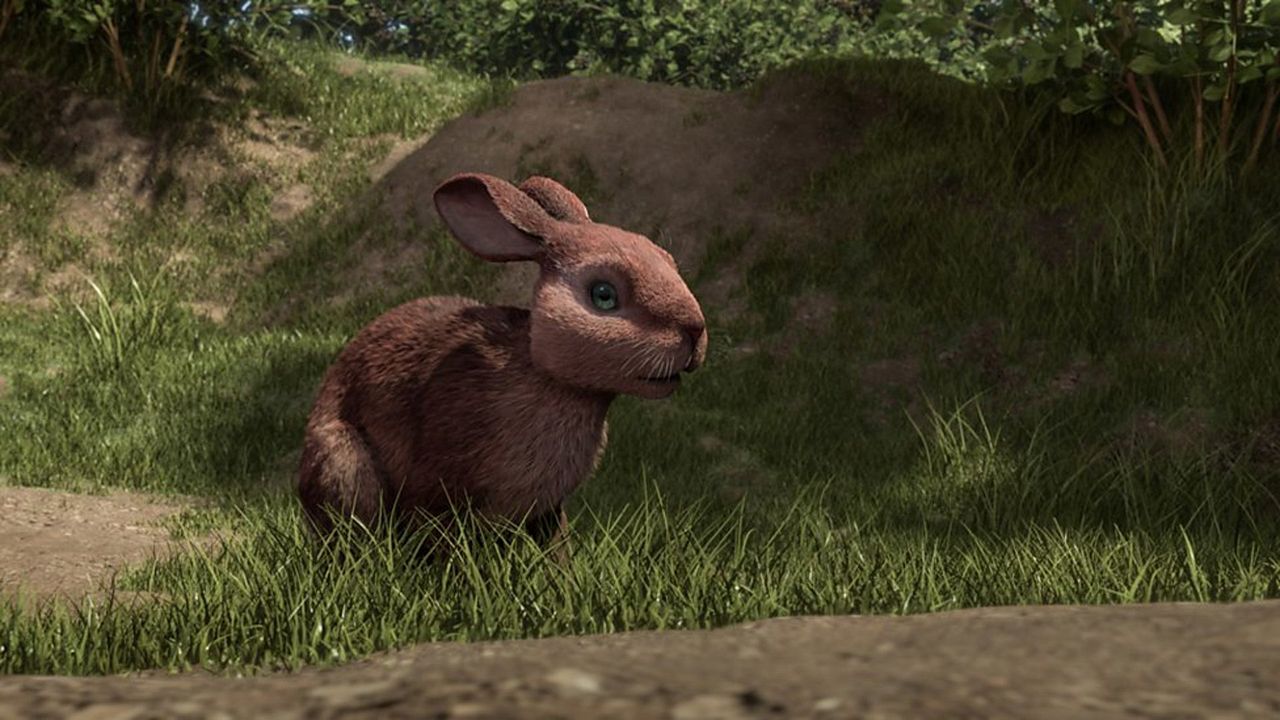 Watership Down - Unten am Fluss : Bild