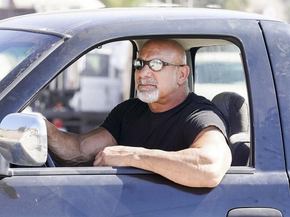 Navy CIS: L.A. : Bild Bill Goldberg