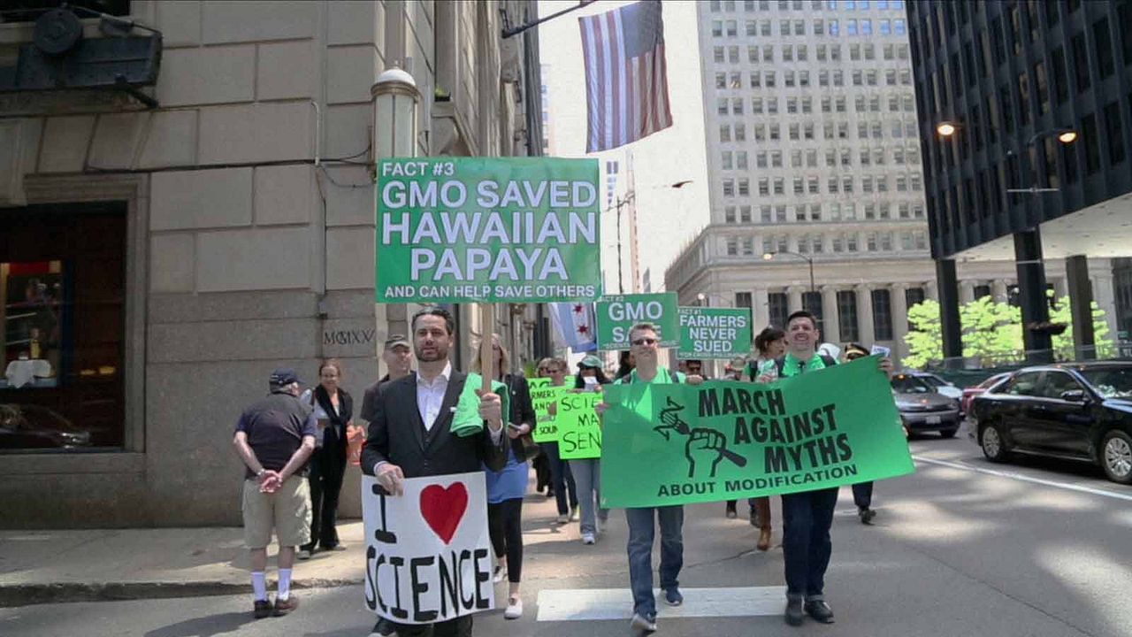 Food Evolution : Bild