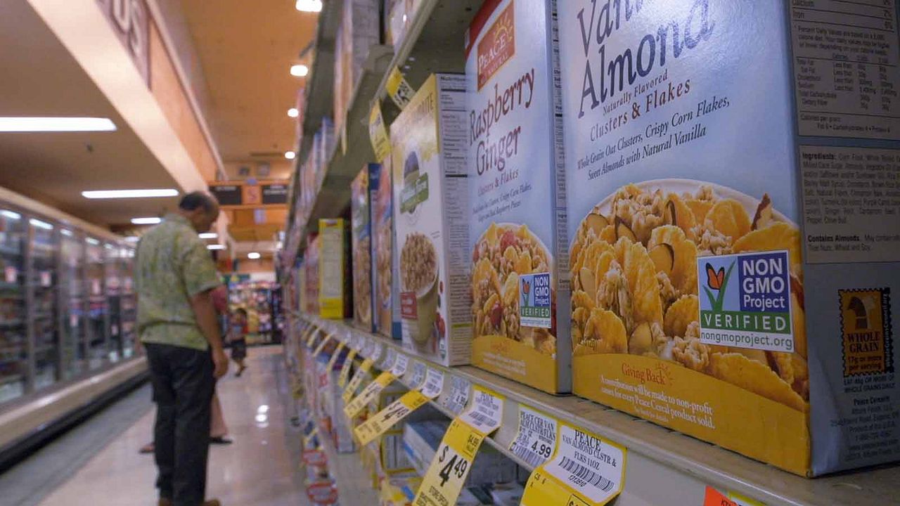 Food Evolution : Bild