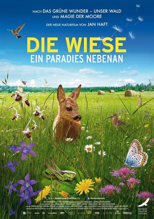 Die Wiese - Ein Paradies nebenan : Kinoposter