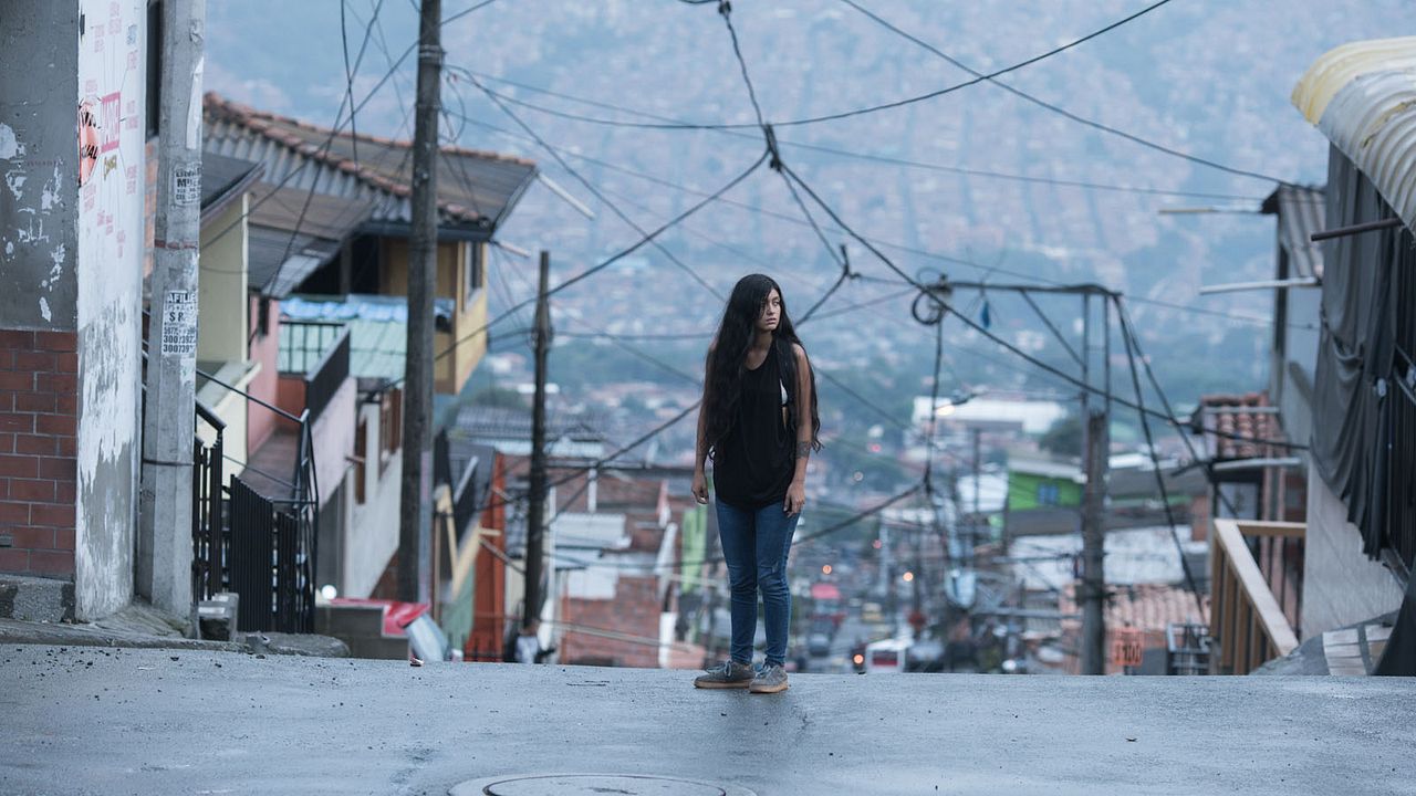 Matar a Jesús : Bild