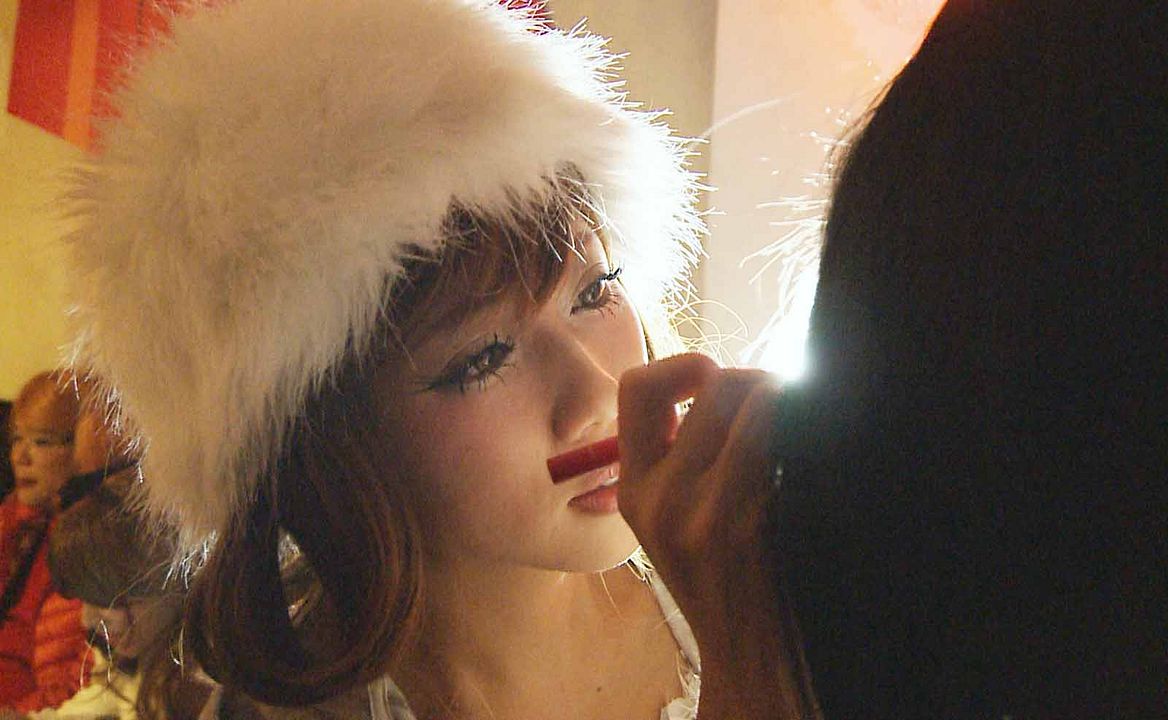 Love and Wolbachia : Bild