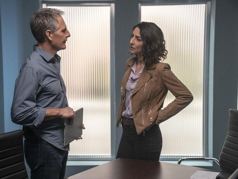 Navy CIS: New Orleans : Bild Scott Bakula, Necar Zadegan