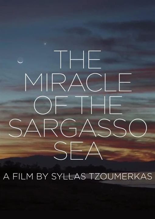 Das Wunder im Meer von Sargasso : Kinoposter