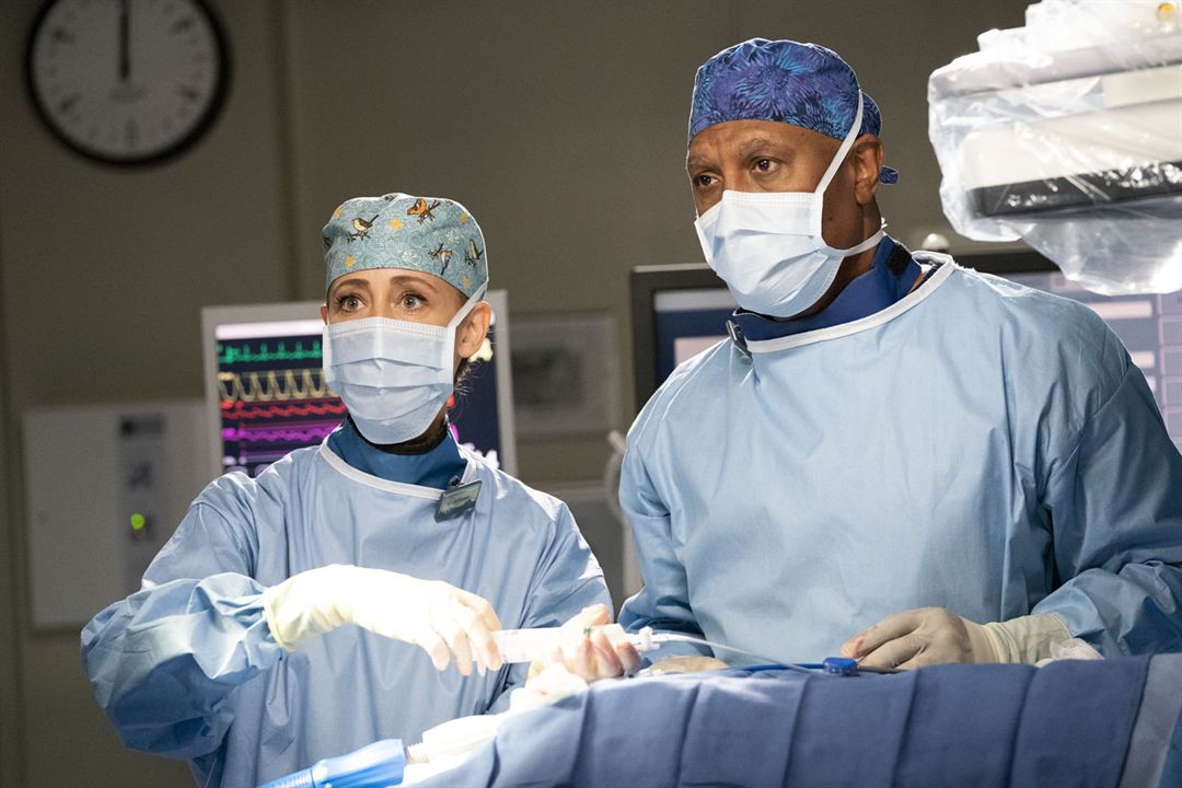 Grey's Anatomy - Die jungen Ärzte : Bild James Pickens Jr., Kim Raver
